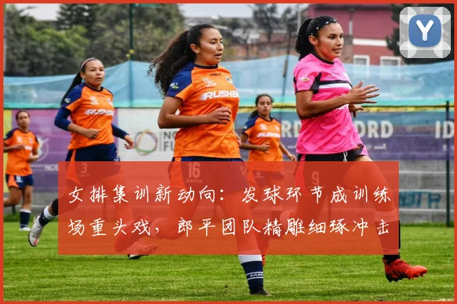 女排集训新动向：发球环节成训练场重头戏，郎平团队精雕细琢冲击战术