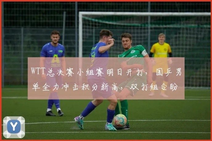 WTT总决赛小组赛明日开打，国乒男单全力冲击积分新高，双打组合盼破局